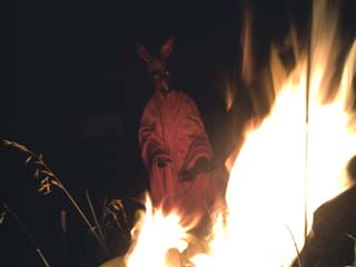 Kangaroo Man Fire