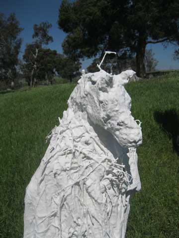Paddock Detail