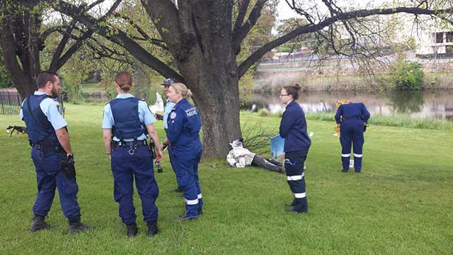 Police called in - body in park is actually a sculpture